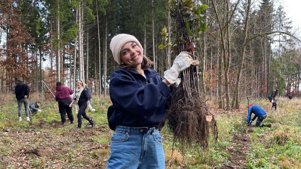 siehste-herzensprojekt-harz-2025-01 Siehste Herzensprojekt Harz Bäume