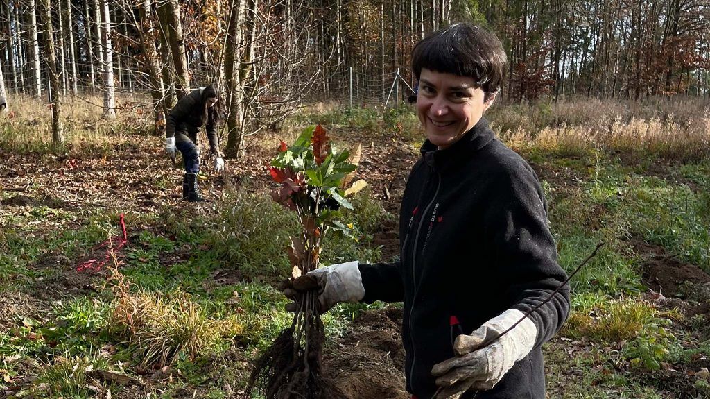 siehste-herzensprojekt-harz-2025-02 Siehste Herzensprojekt Harz Bäume